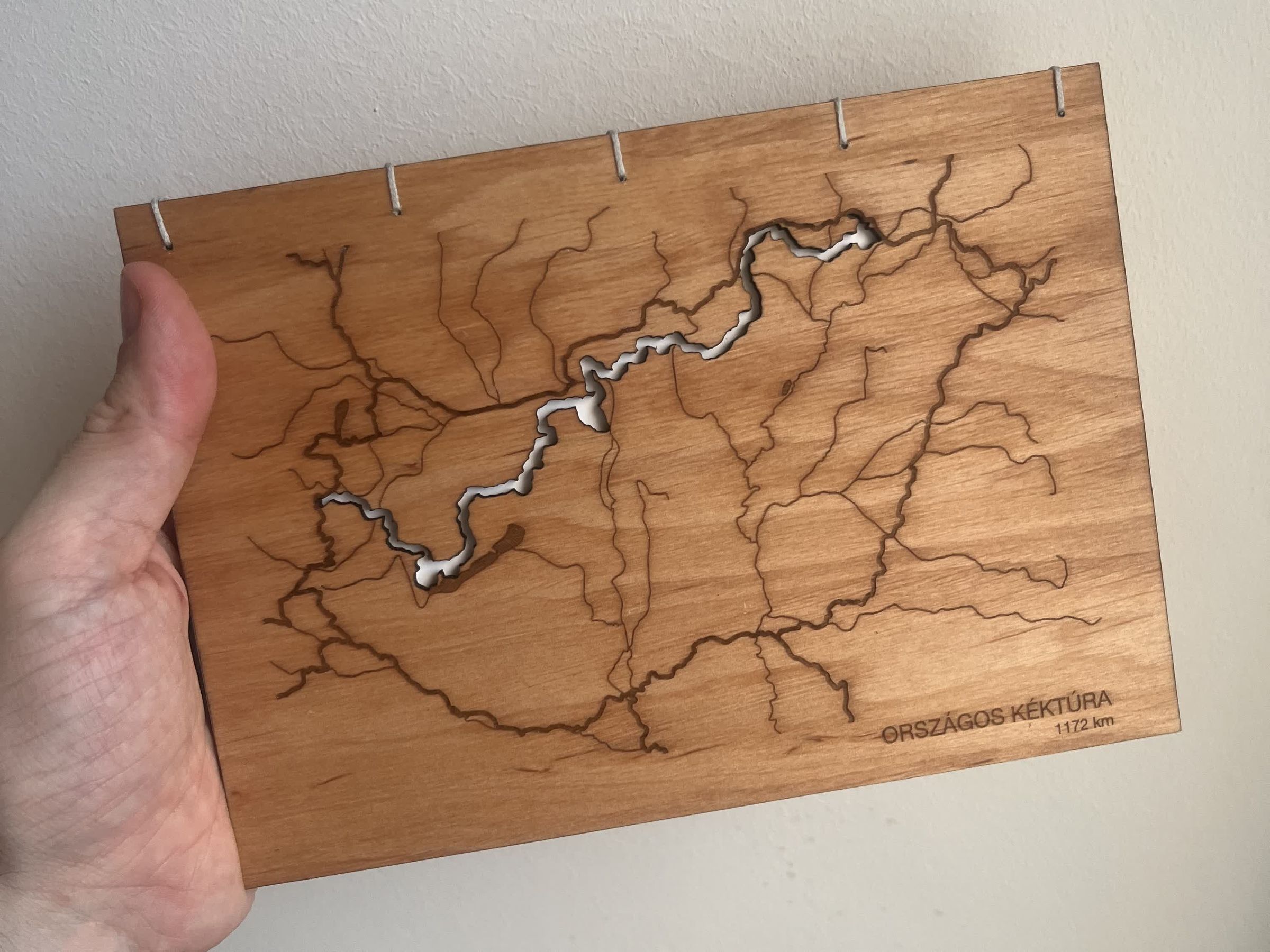 The album held in hand