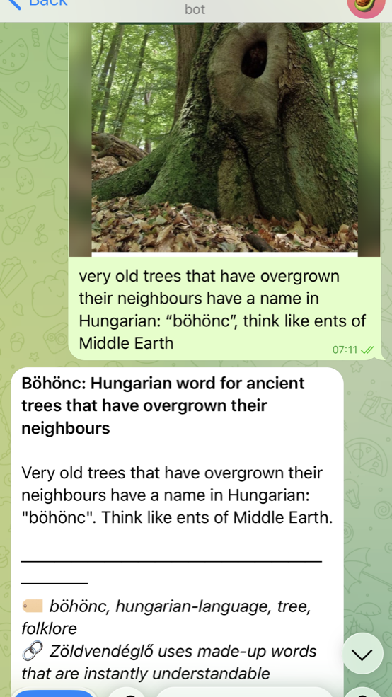 Telegram conversation showing a photo of an ancient tree with a note about the Hungarian word böhönc, and the bot's structured reply with title, tags, and a link to a related note